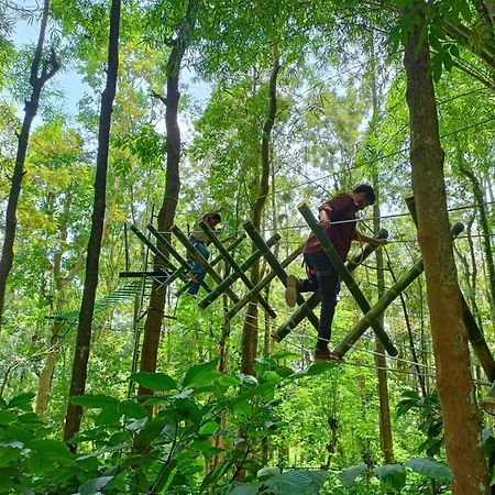 Adrak Mountain Mist Forest Resort Pulpally Esterno foto
