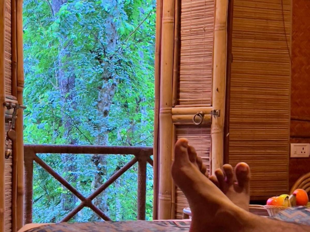 Adrak Mountain Mist Forest Resort Pulpally Esterno foto