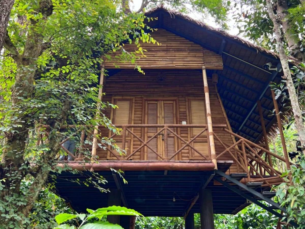 Adrak Mountain Mist Forest Resort Pulpally Esterno foto