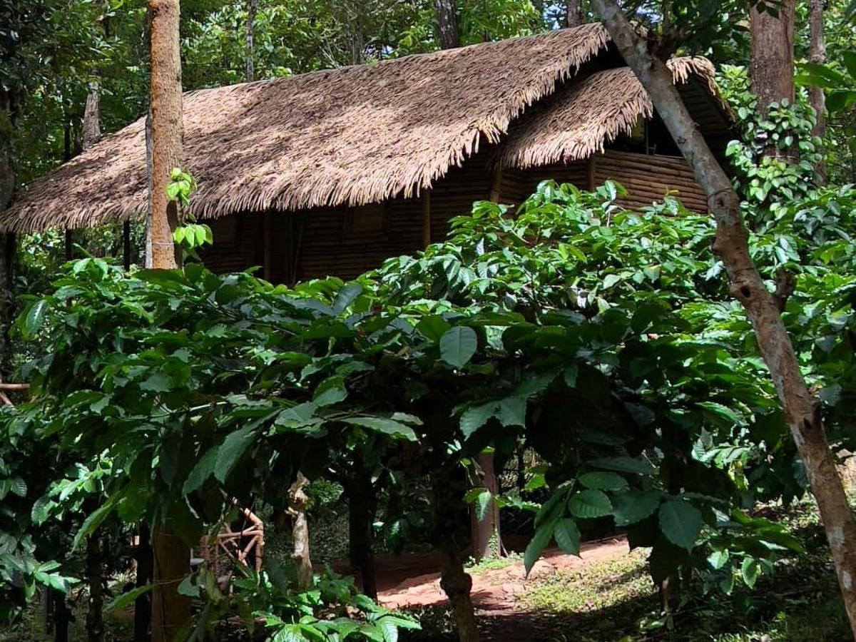 Adrak Mountain Mist Forest Resort Pulpally Esterno foto