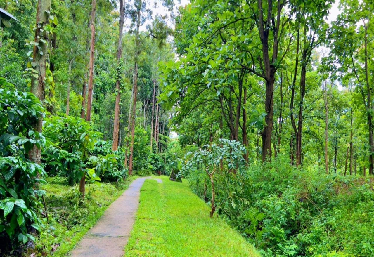 Adrak Mountain Mist Forest Resort Pulpally Esterno foto