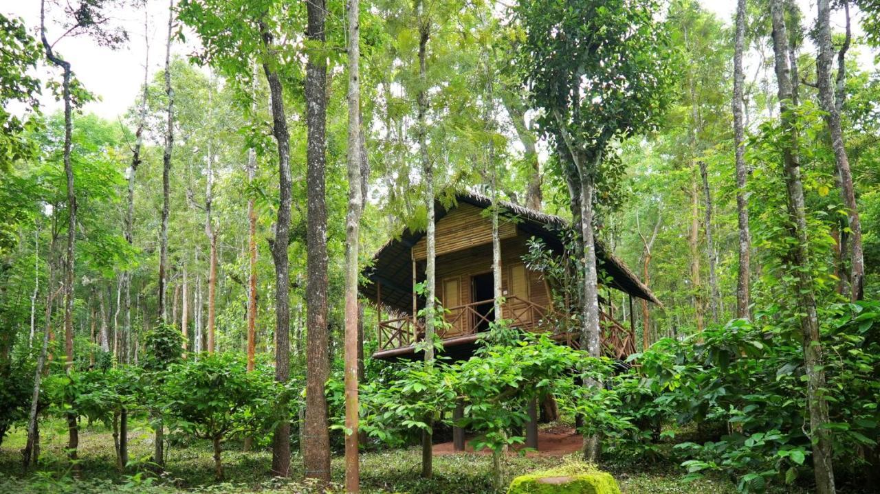 Adrak Mountain Mist Forest Resort Pulpally Esterno foto