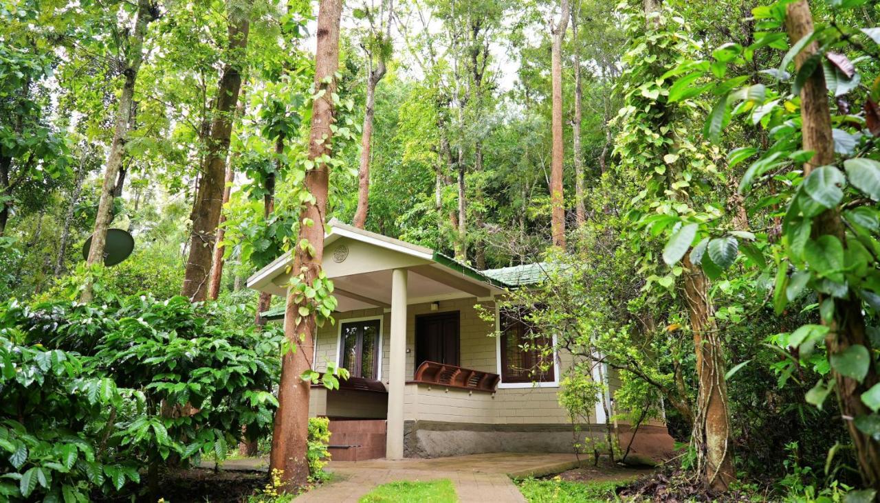 Adrak Mountain Mist Forest Resort Pulpally Esterno foto
