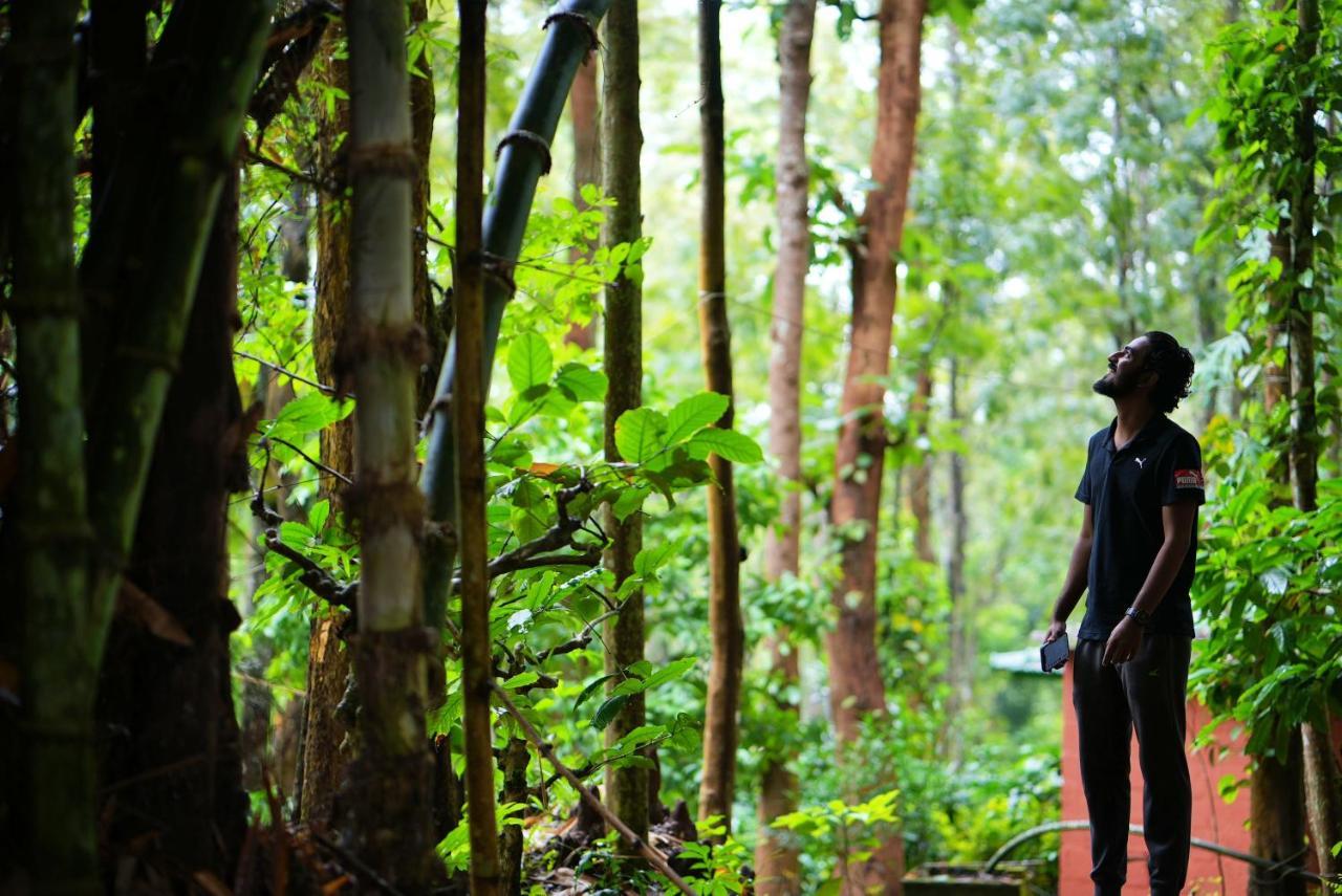 Adrak Mountain Mist Forest Resort Pulpally Esterno foto