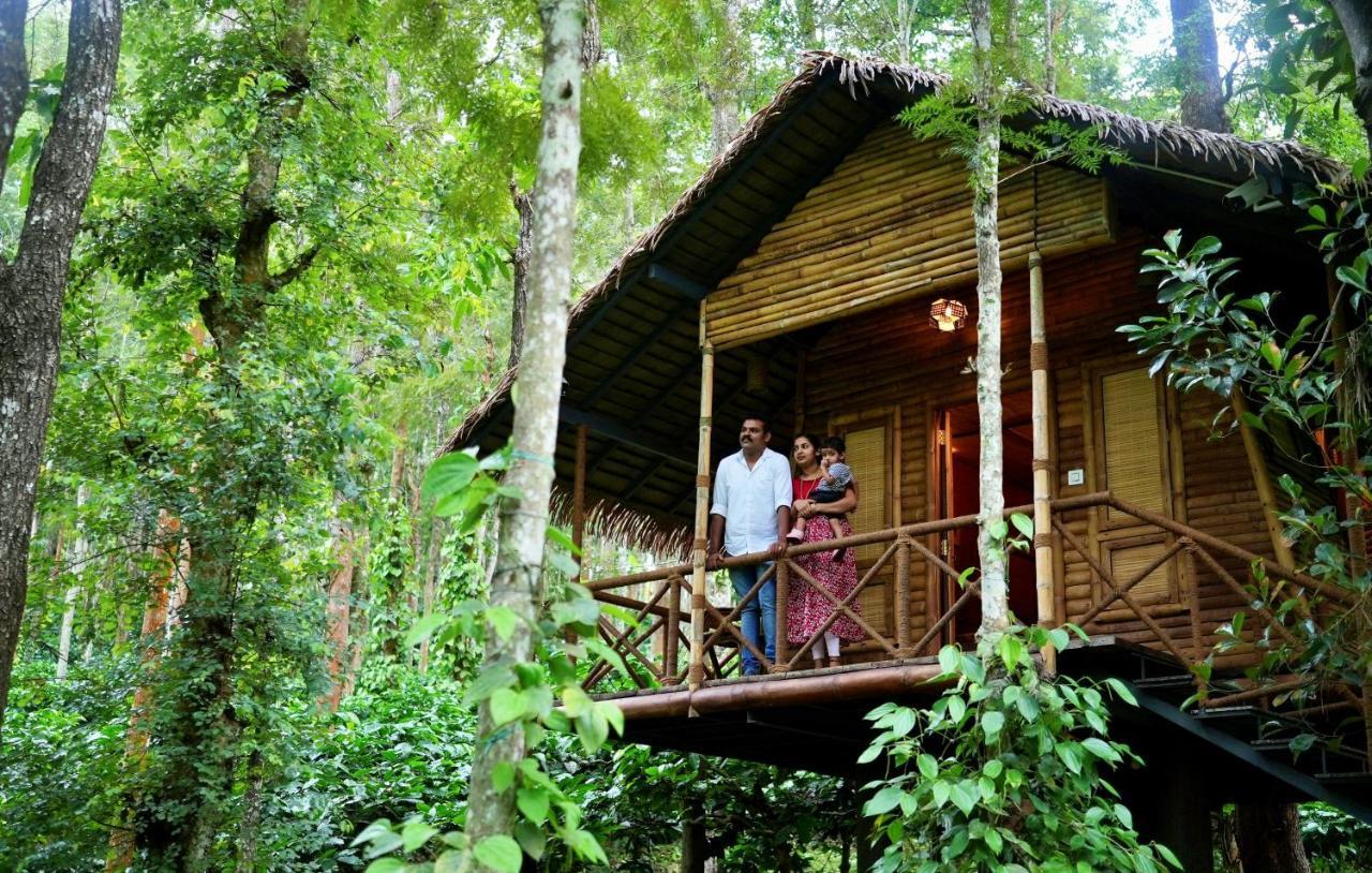 Adrak Mountain Mist Forest Resort Pulpally Esterno foto