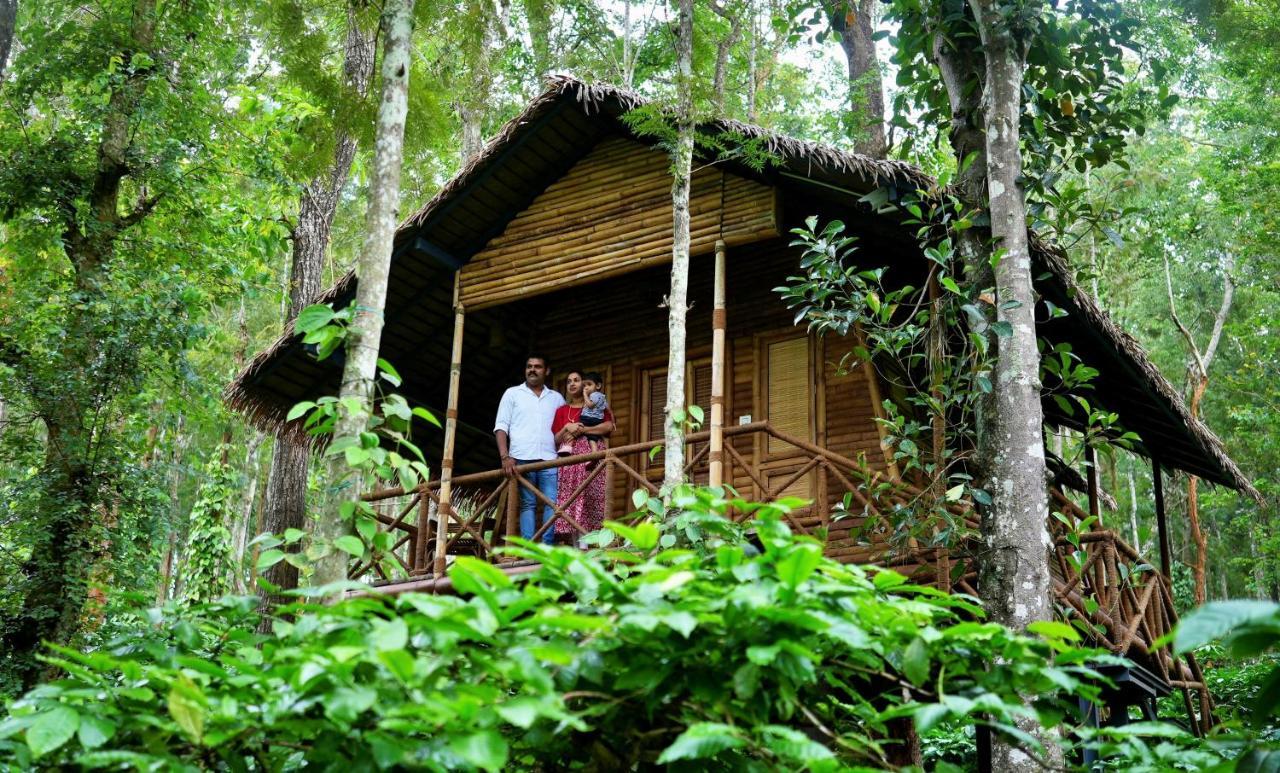 Adrak Mountain Mist Forest Resort Pulpally Esterno foto