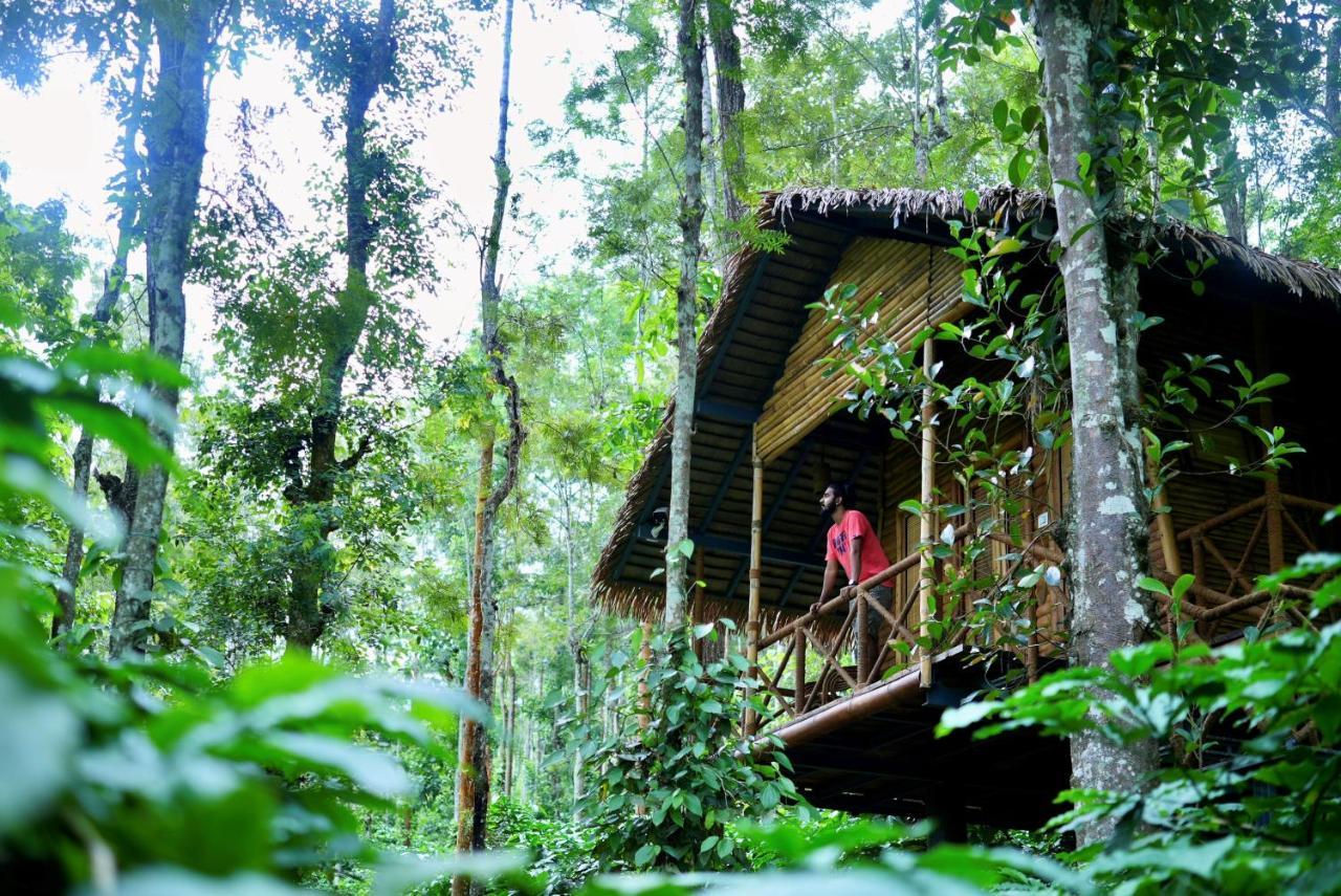 Adrak Mountain Mist Forest Resort Pulpally Esterno foto
