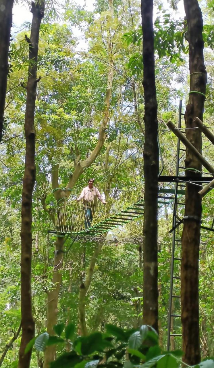 Adrak Mountain Mist Forest Resort Pulpally Esterno foto